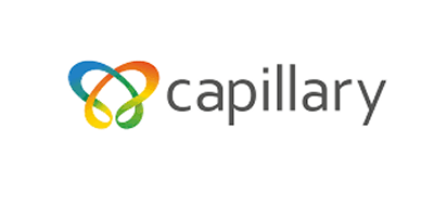CAPILLARY TECHNO INDIA L Share Price